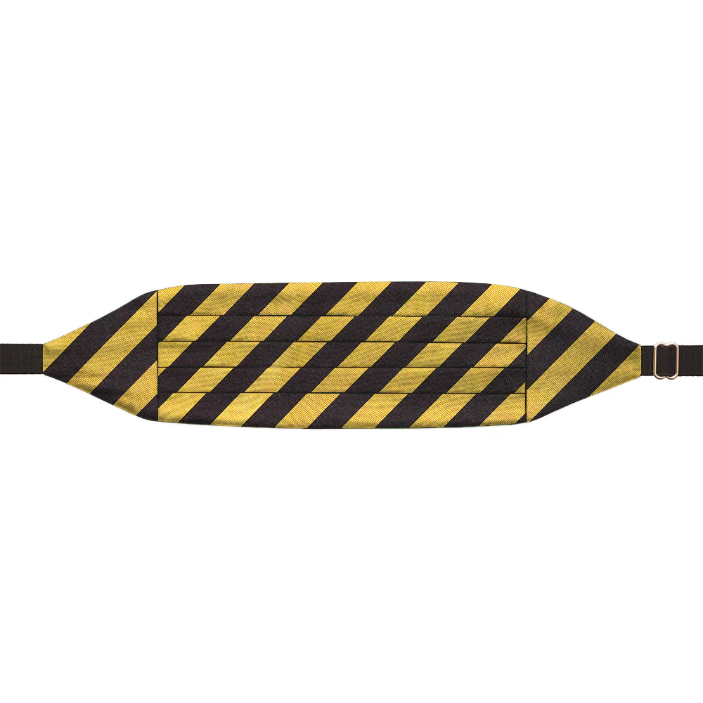 Academy Black and Gold - Cummerbunds - Image 2
