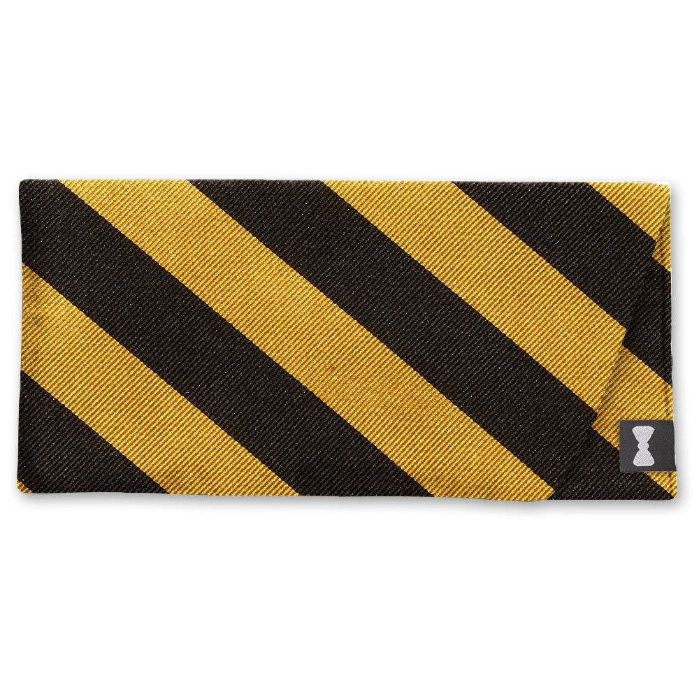 Academy Black and Gold - Eyeglass Cases