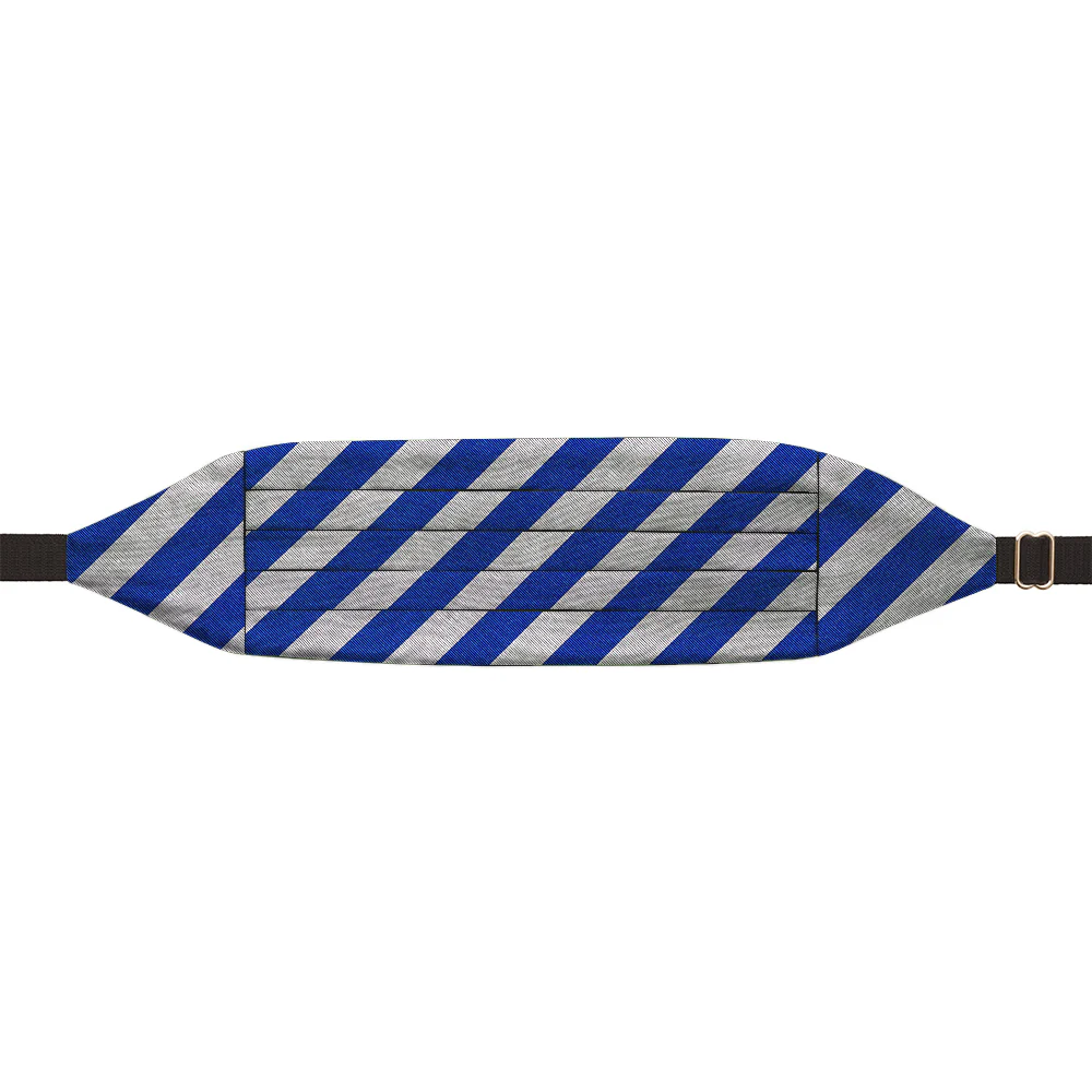 Academy Blue and Silver - Cummerbunds - Image 2