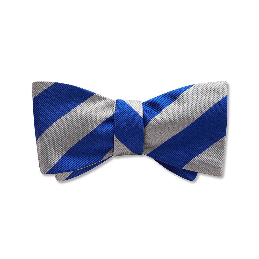 Academy Blue and Silver - Kids' Bow Ties