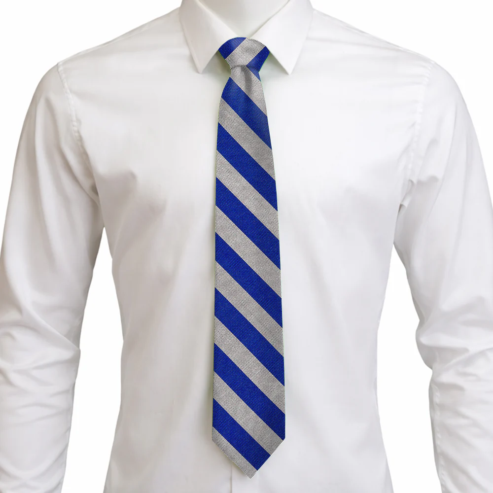 Academy Blue and Silver - Neckties - Image 3