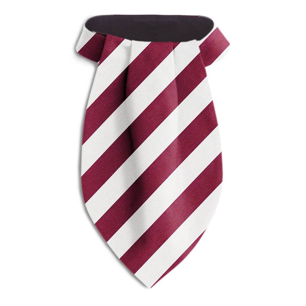 Academy Maroon and White - Ascots