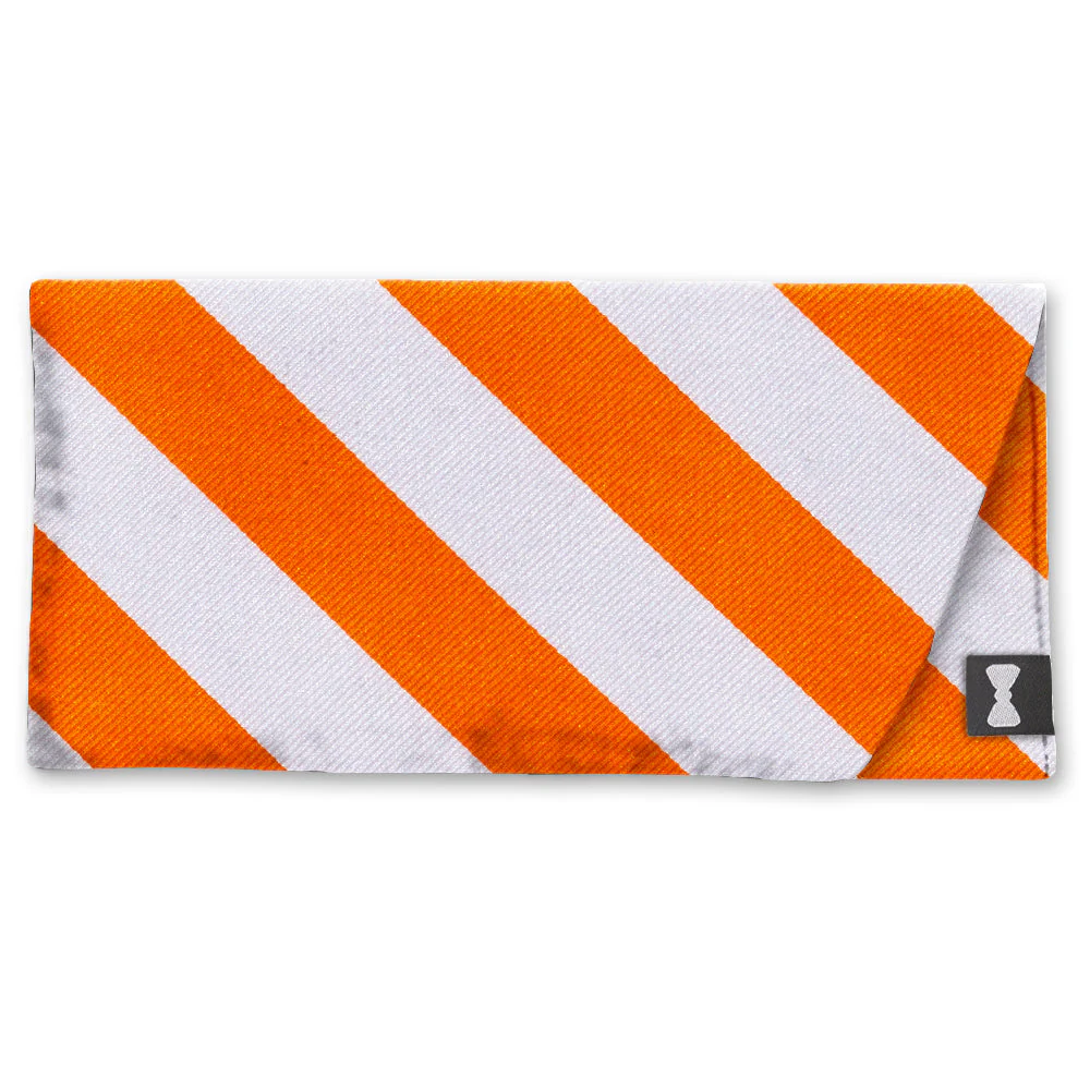 Academy Orange and White - Eyeglass Cases