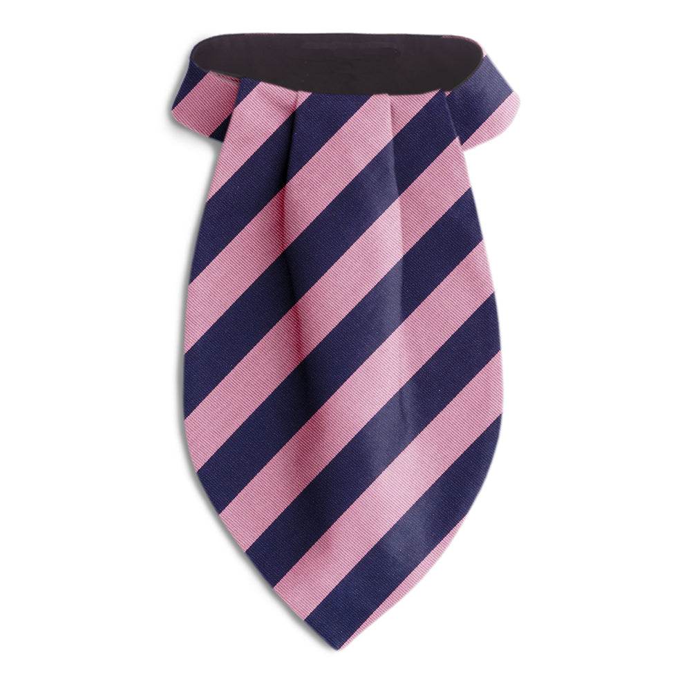 Academy Pink/Navy - Ascots