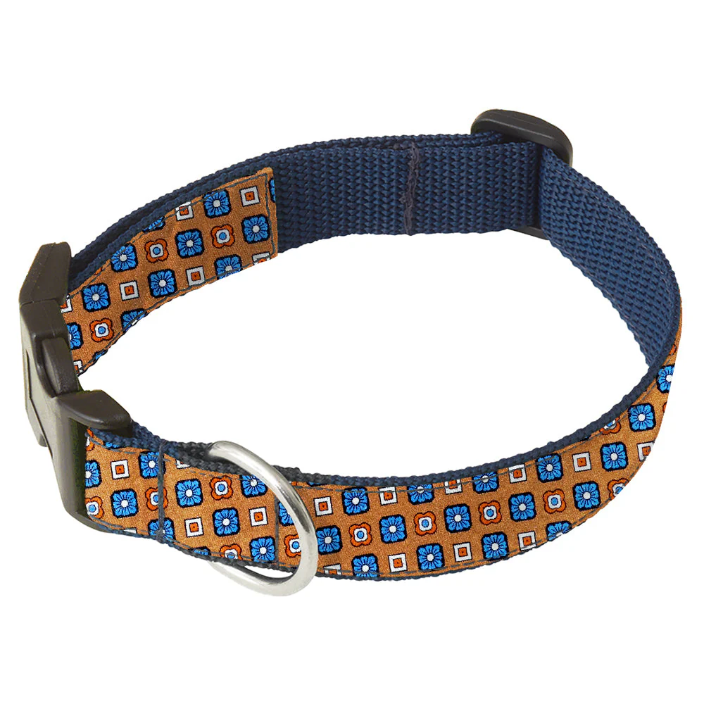 Allasio - Dog Collar