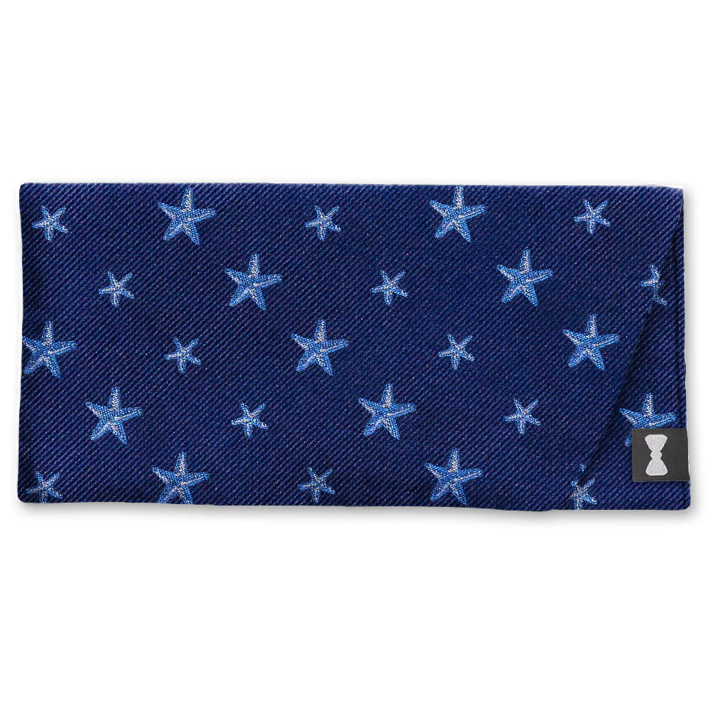 Asteroidea - Eyeglass Cases