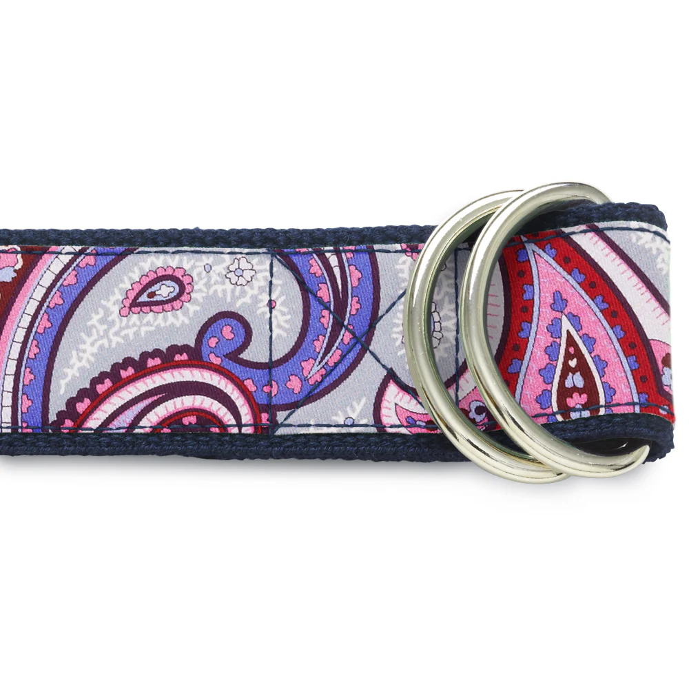 Barshaw Silver - D-Ring Belts - Image 2