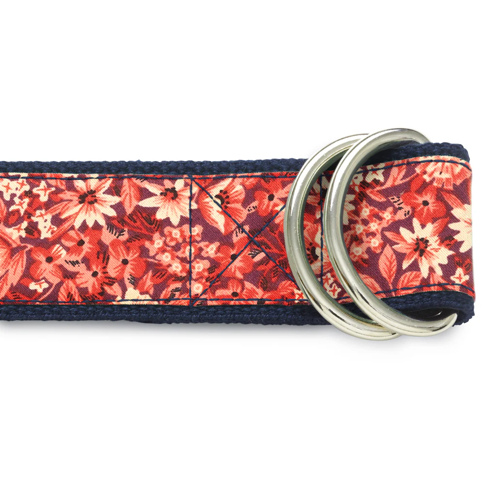 Bellasola - D-Ring Belts - Image 2