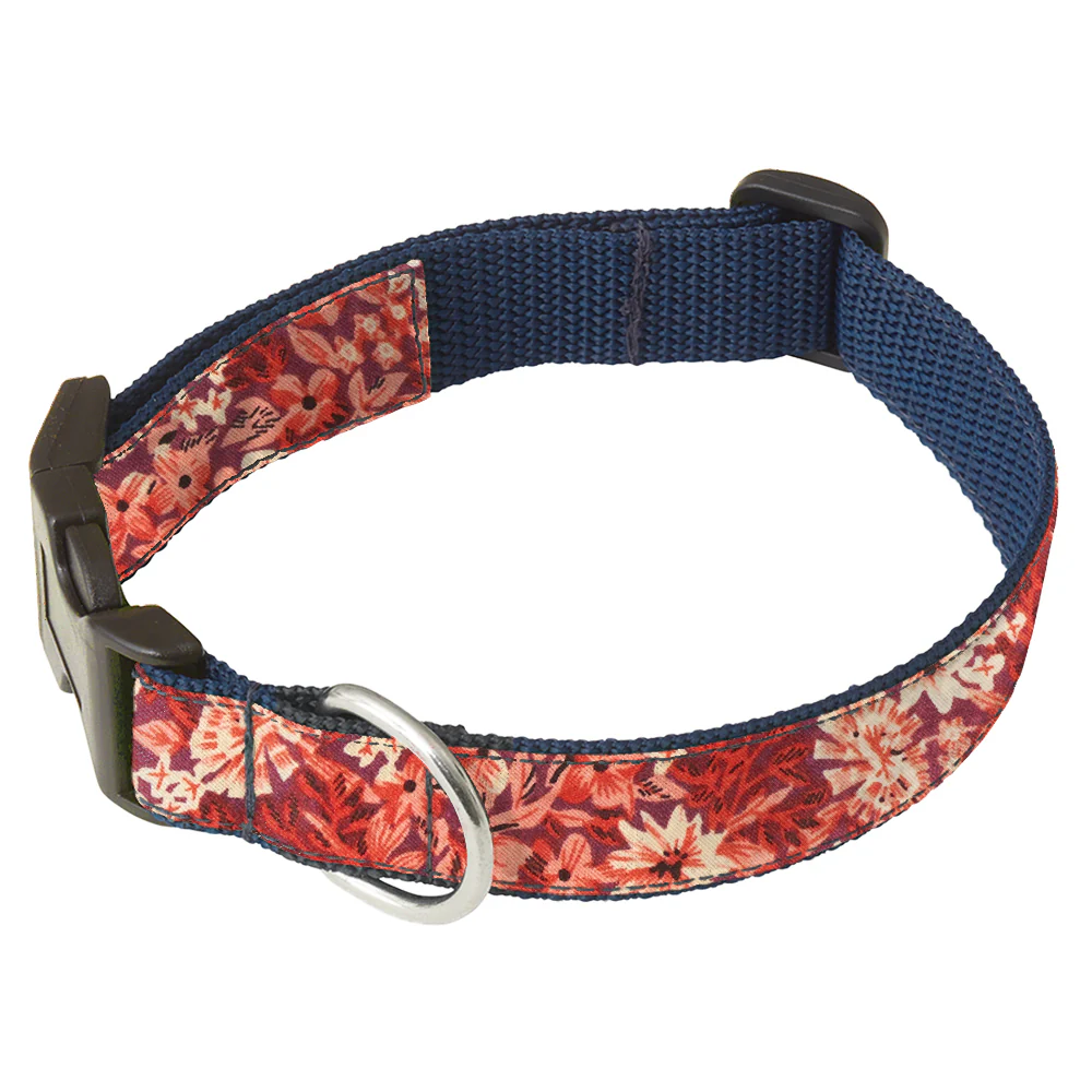 Bellasola - Dog Collar