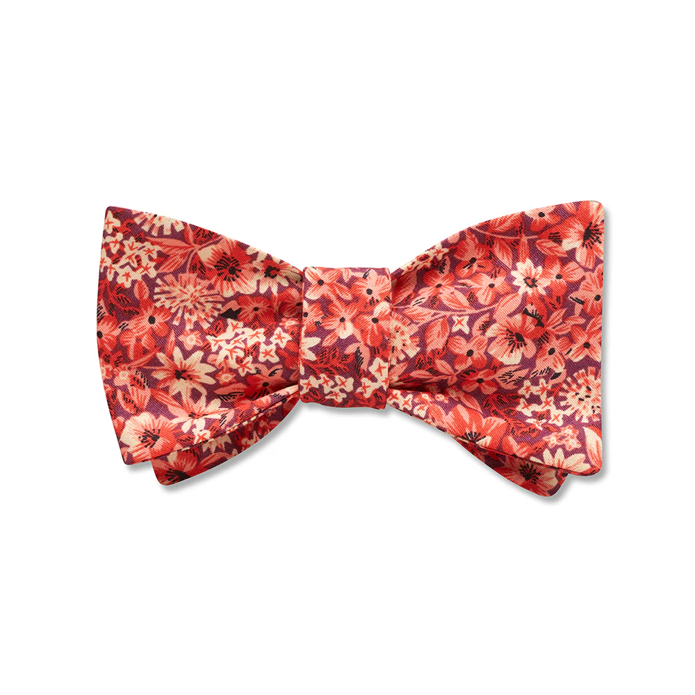 Bellasola - Kids' Bow Ties