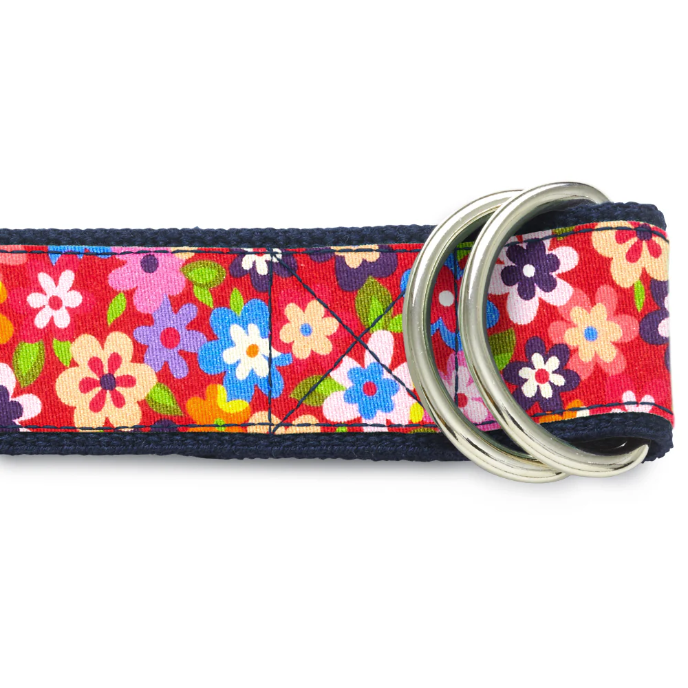 Berkeley - D-Ring Belts - Image 2