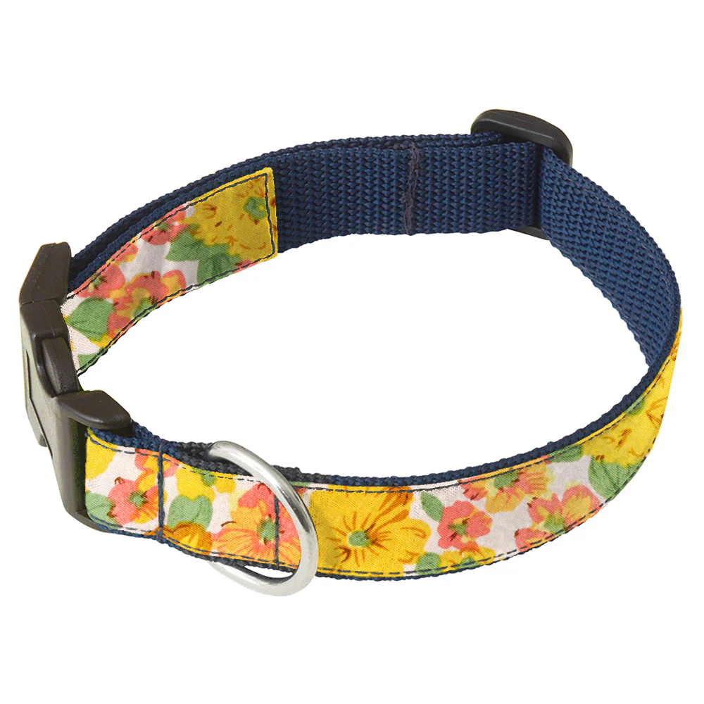 Callaway - Dog Collar