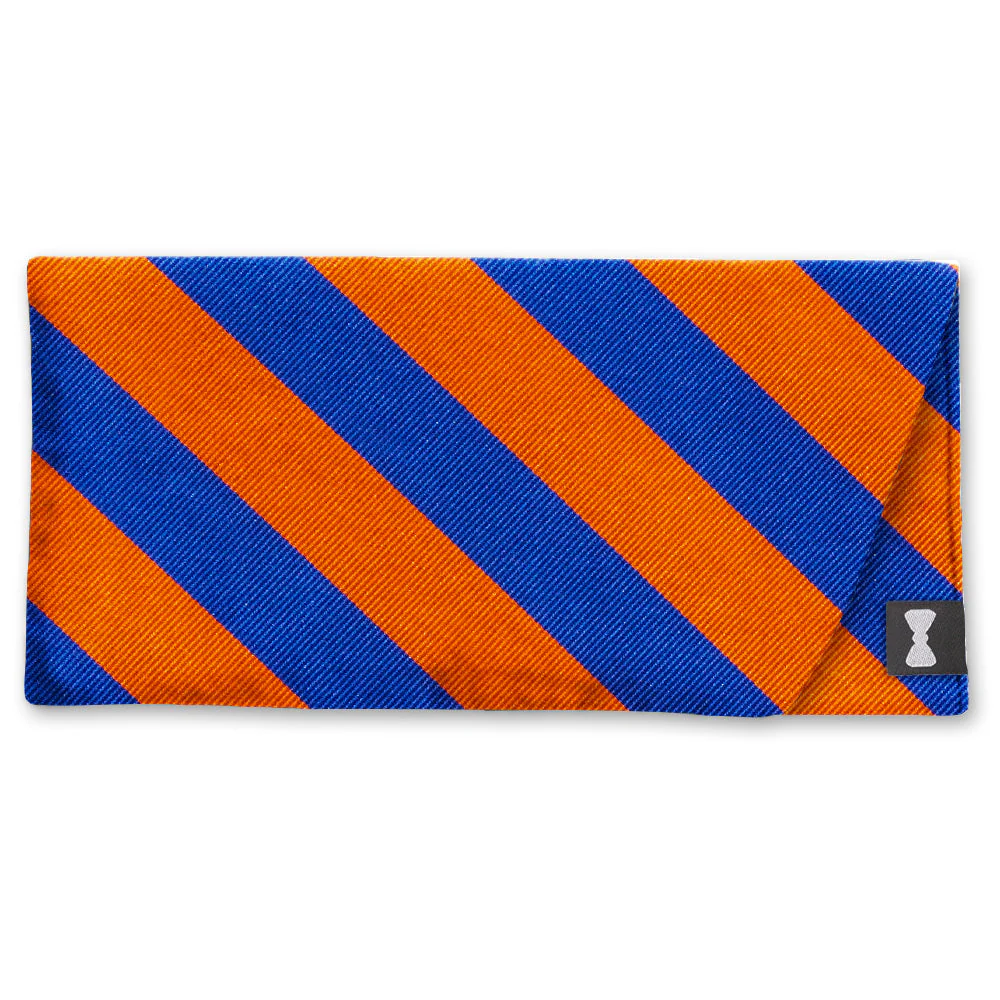 Collegiate Blue and Orange - Eyeglass Cases