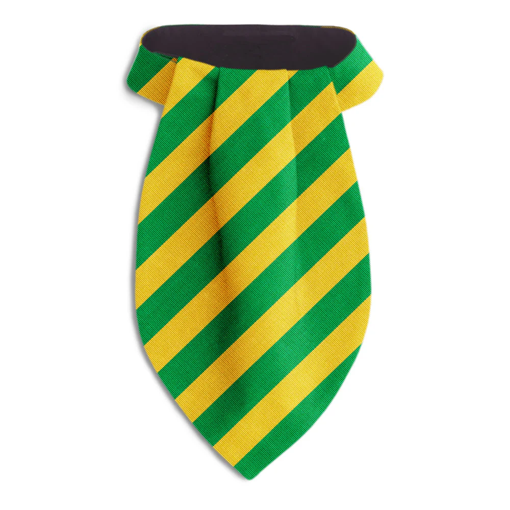 Collegiate Green and Gold - Ascots