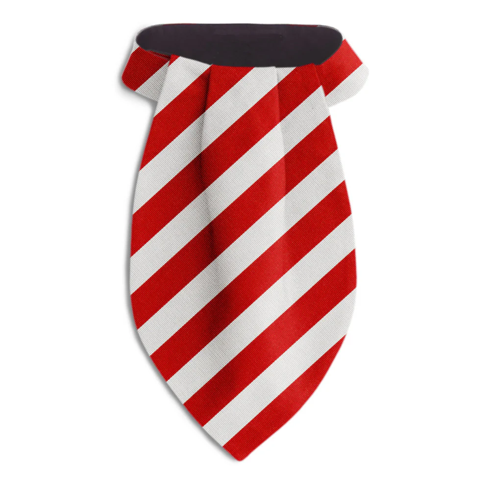 Collegiate Red and Silver - Ascots