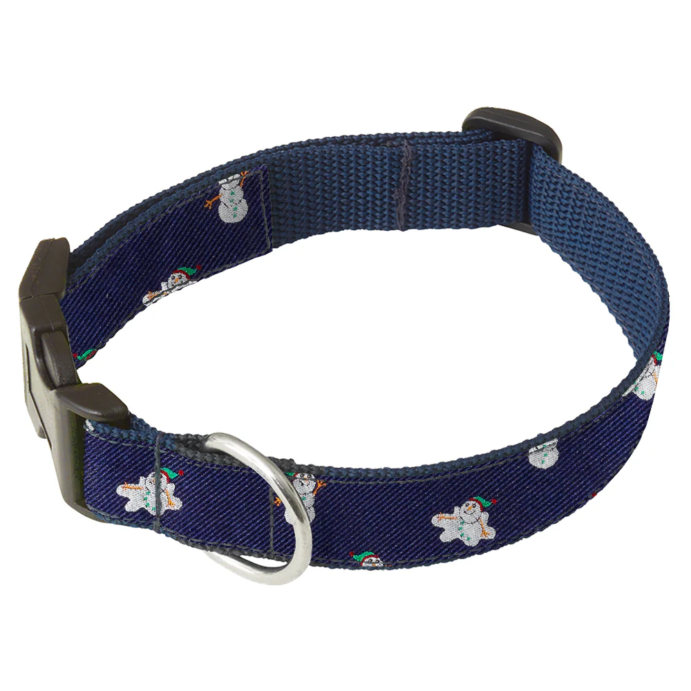 Coolville - Dog Collar