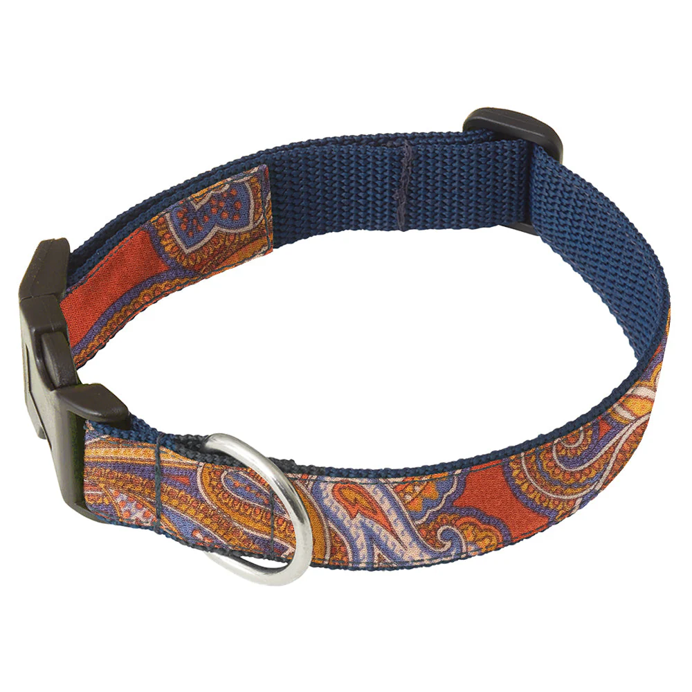 Corteno - Dog Collar