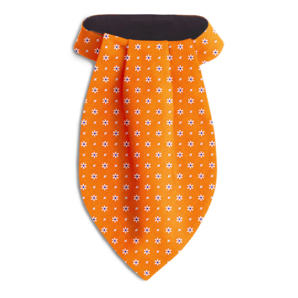 Daisy Springs Orange - Ascots