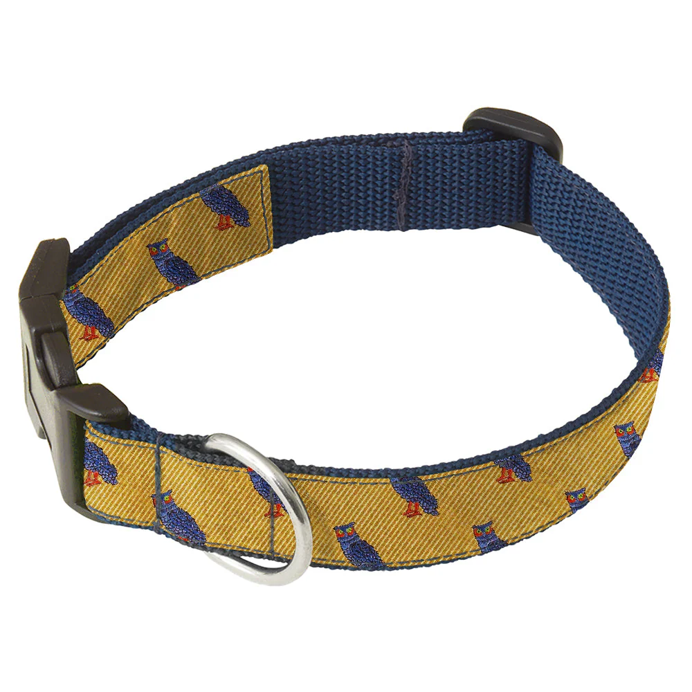 Errol - Dog Collar