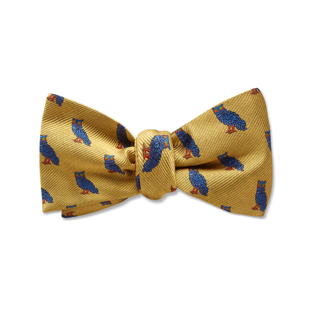 Errol - Kids' Bow Ties