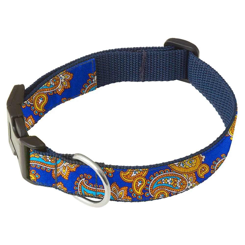 Golden Bay - Dog Collar