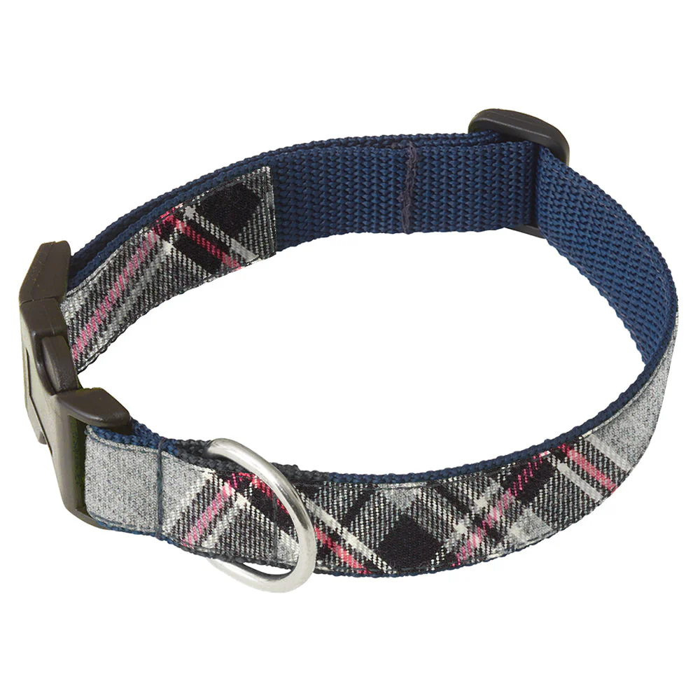 Hebrides Isle - Dog Collar