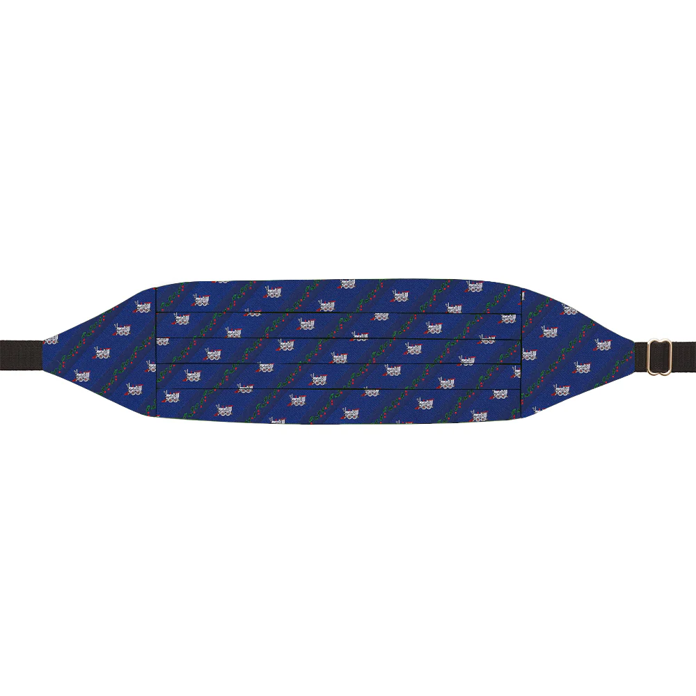 Holly Station Blue - Cummerbunds - Image 2