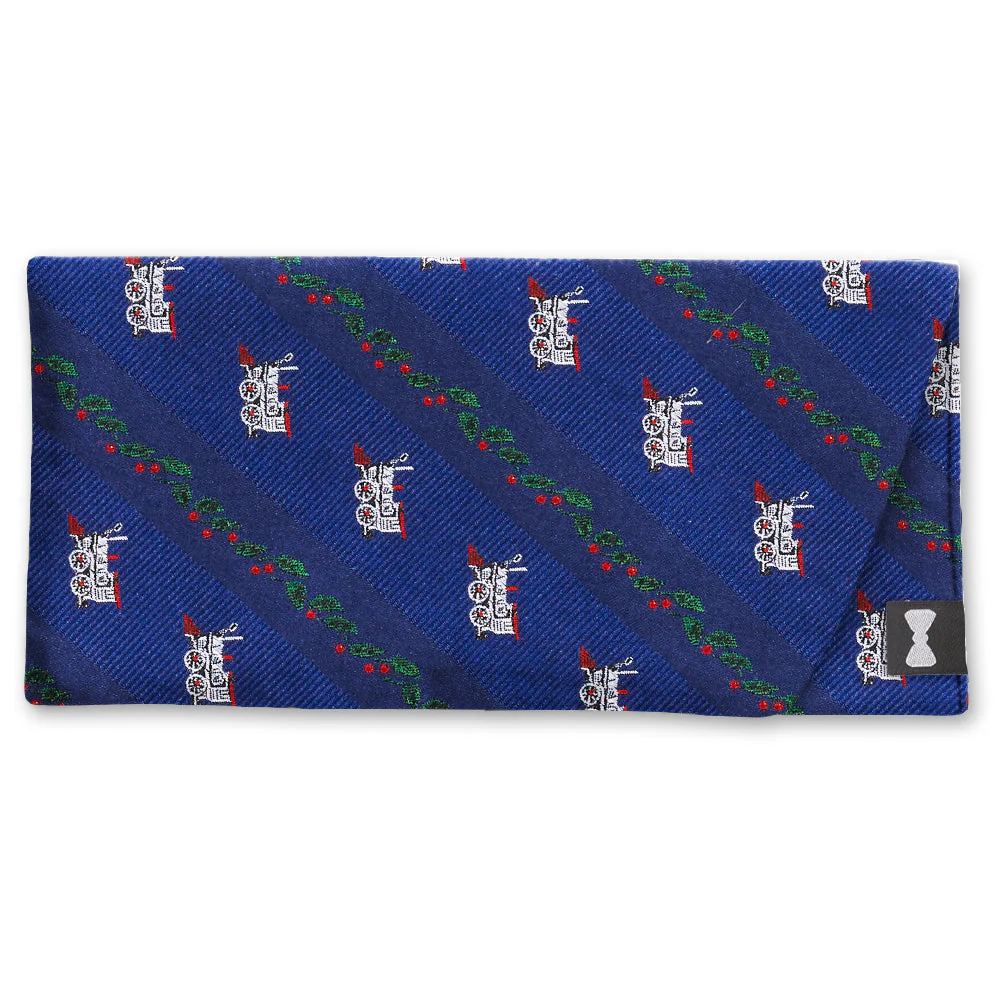 Holly Station Blue - Eyeglass Cases