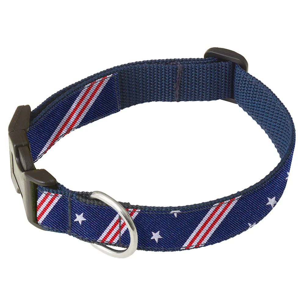 Jefferson - Dog Collar