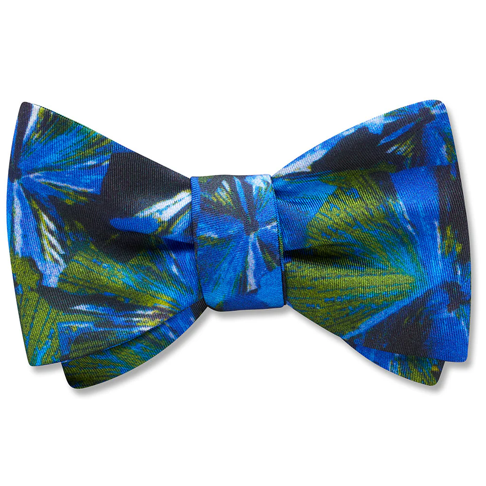 Morning Glory - Dog Bow Ties