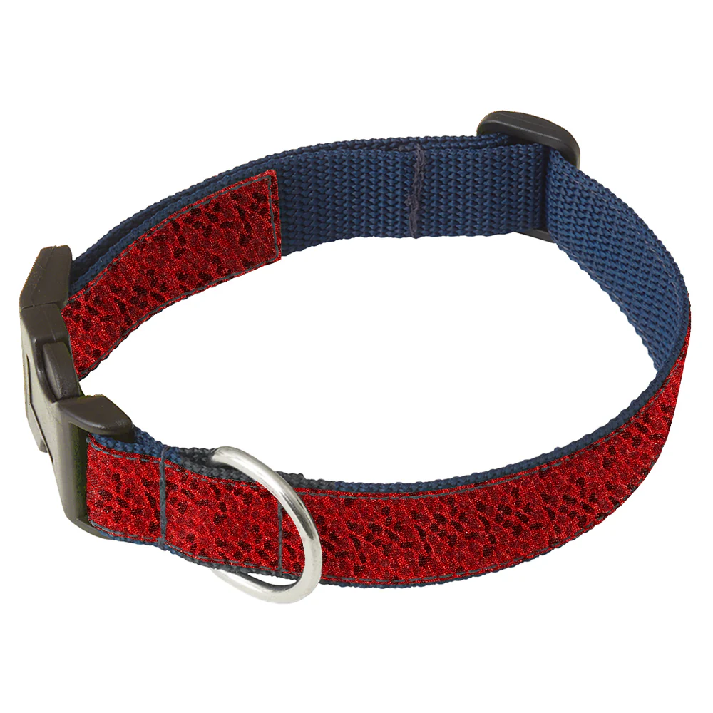 Panthara - Dog Collar