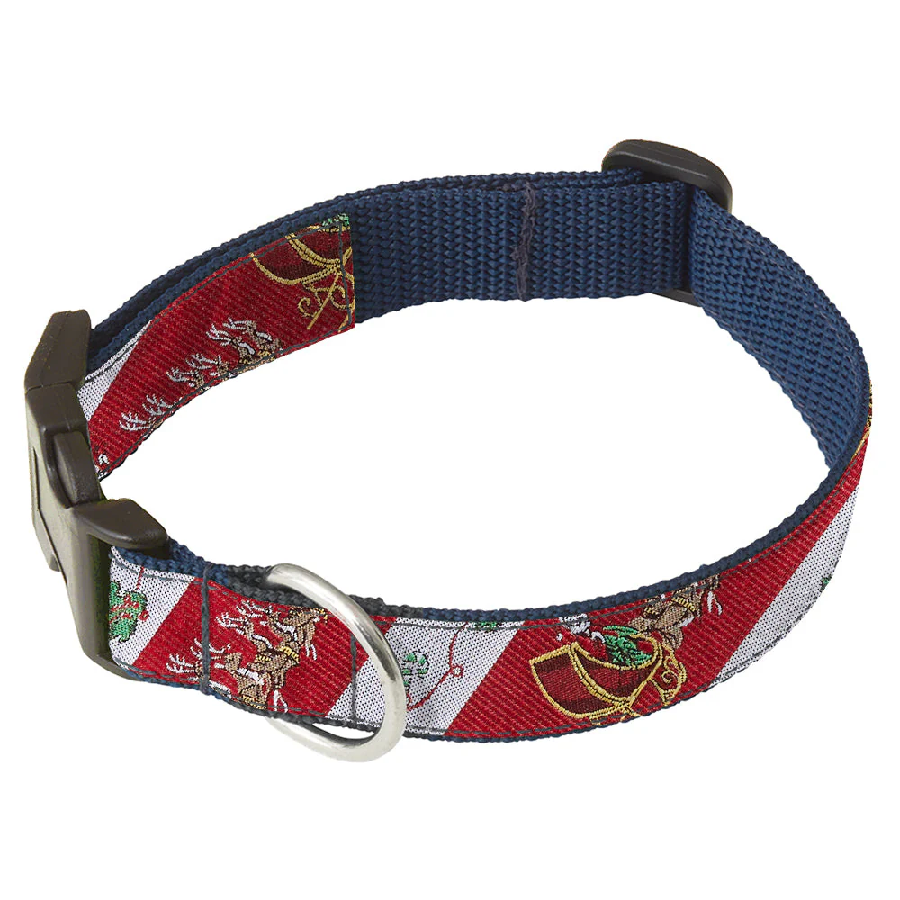 Polar Expedition - Dog Collar
