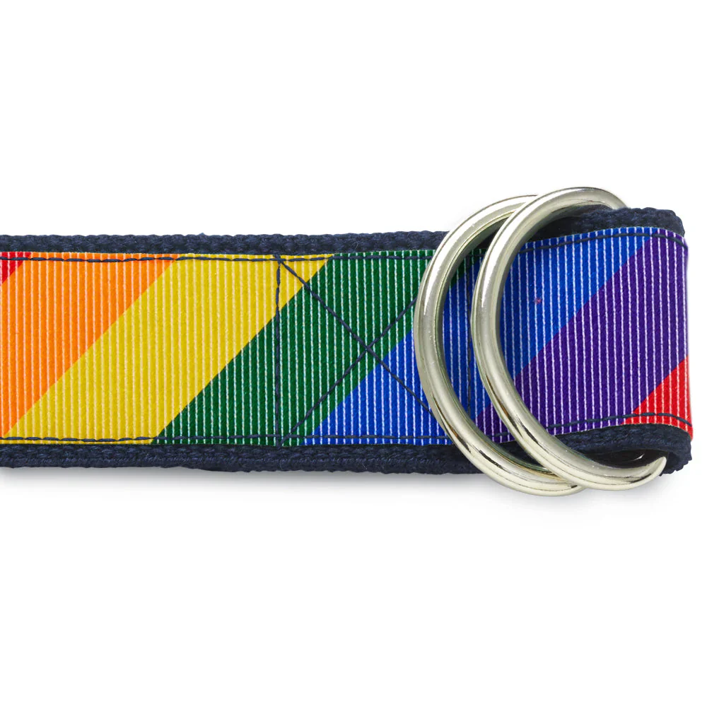 Pride Lane - D-Ring Belts - Image 2