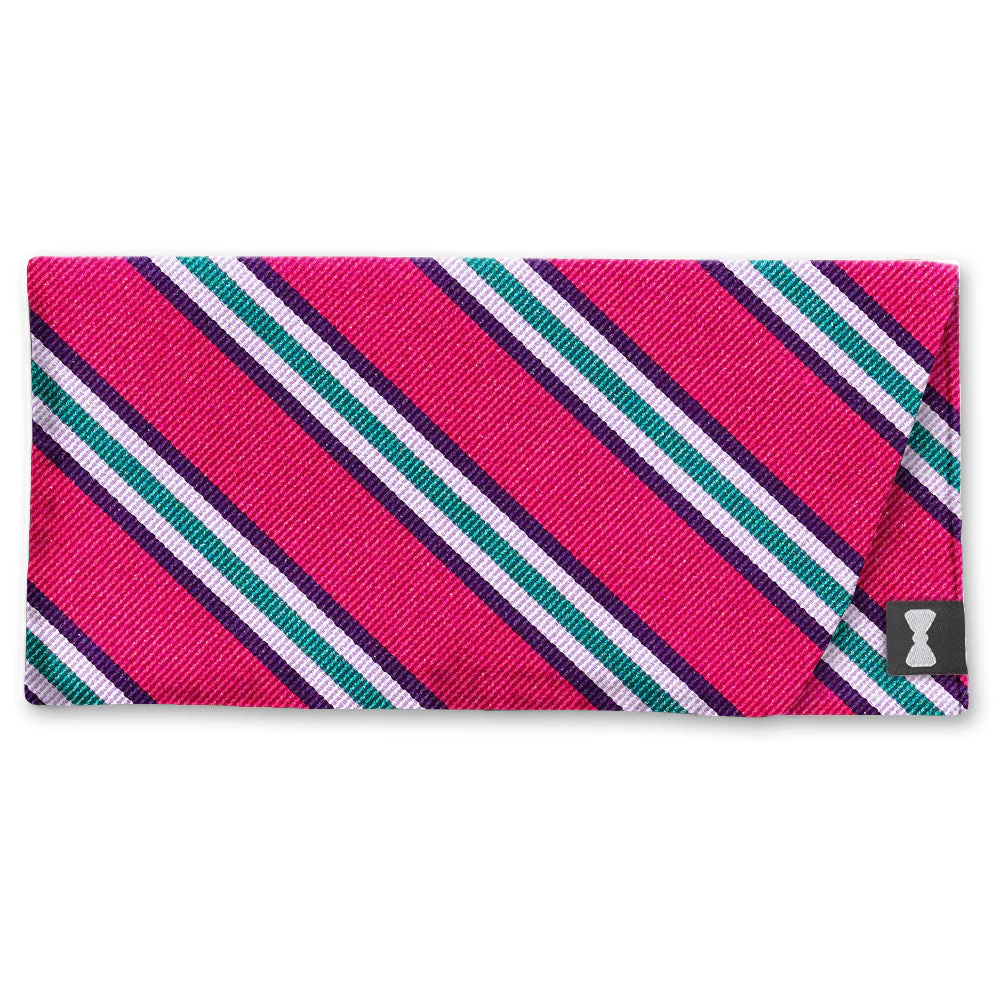 RiverPink - Eyeglass Cases