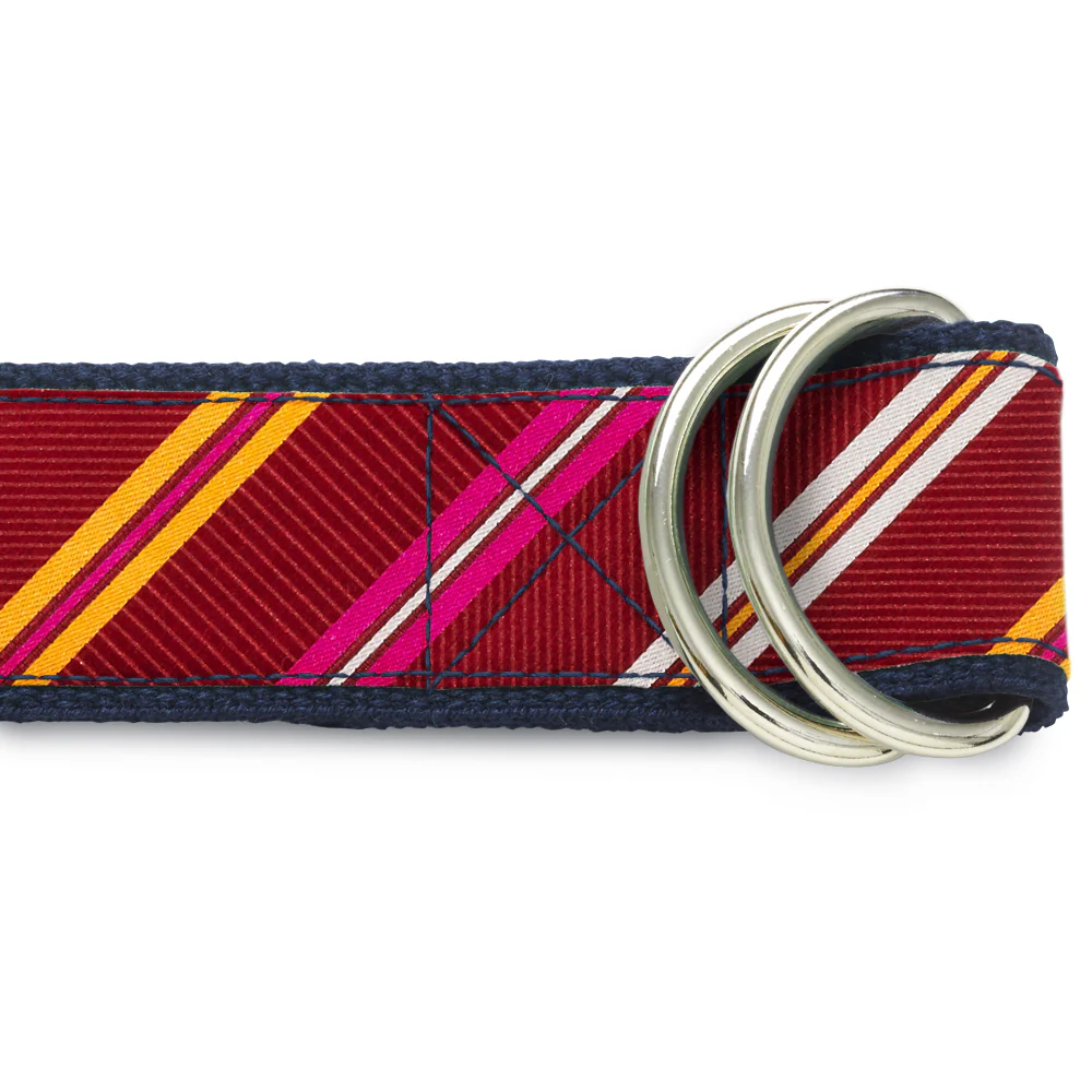 San Pedro - D-Ring Belts - Image 2
