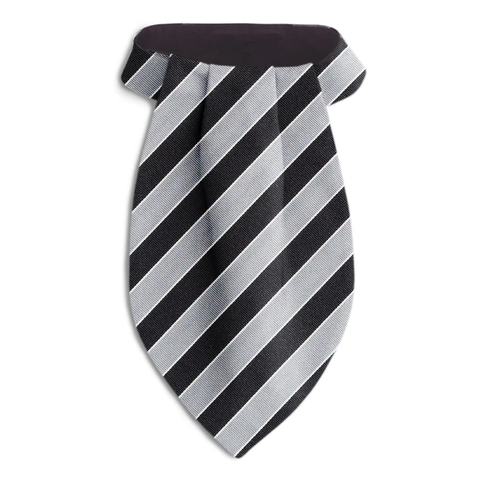 Scholastic Black/Silver - Ascots