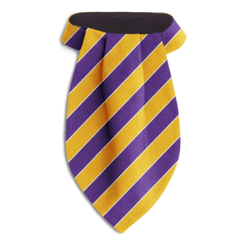 Scholastic Purple/Gold - Ascots
