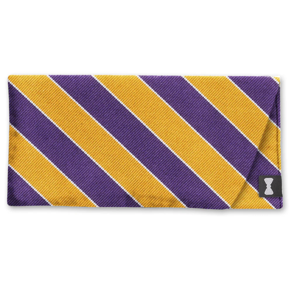 Scholastic Purple/Gold - Eyeglass Cases