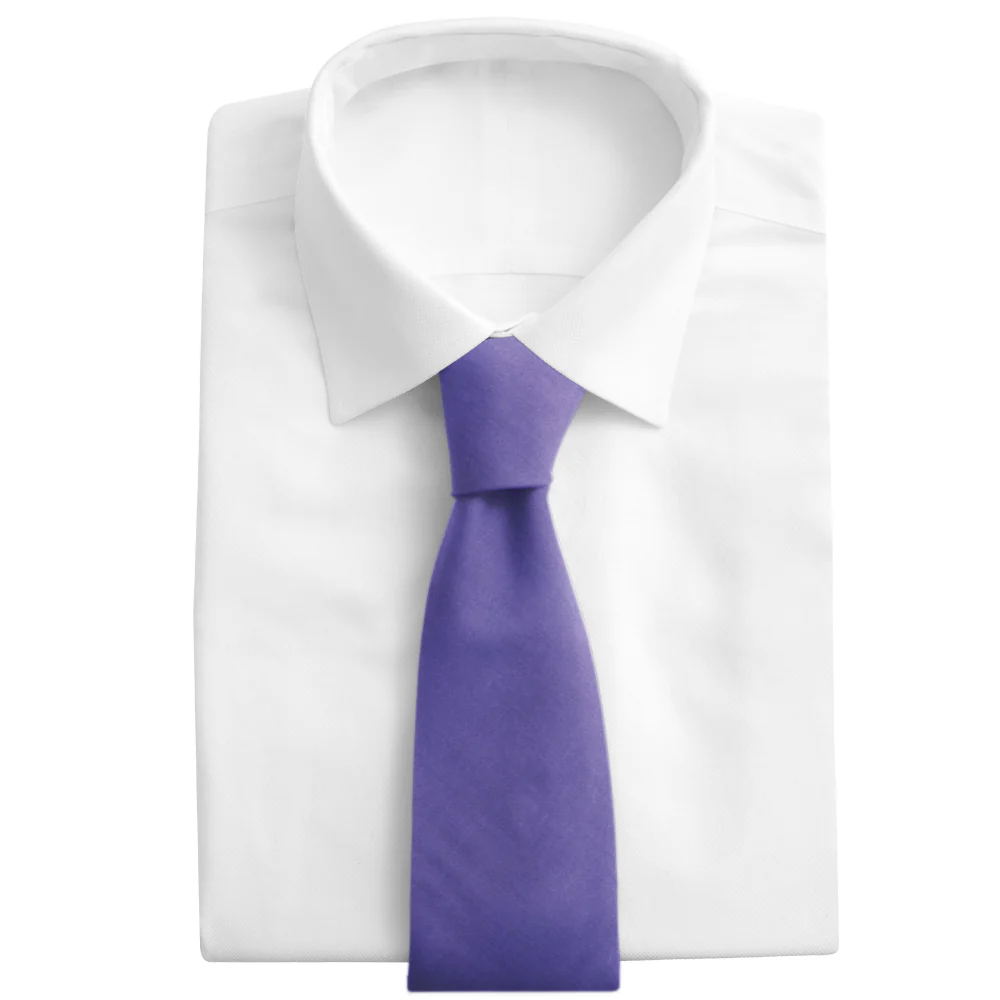 Somerville Lapis - Neckties - Image 4