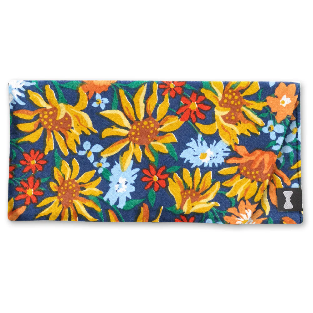 Spring Fling - Eyeglass Cases