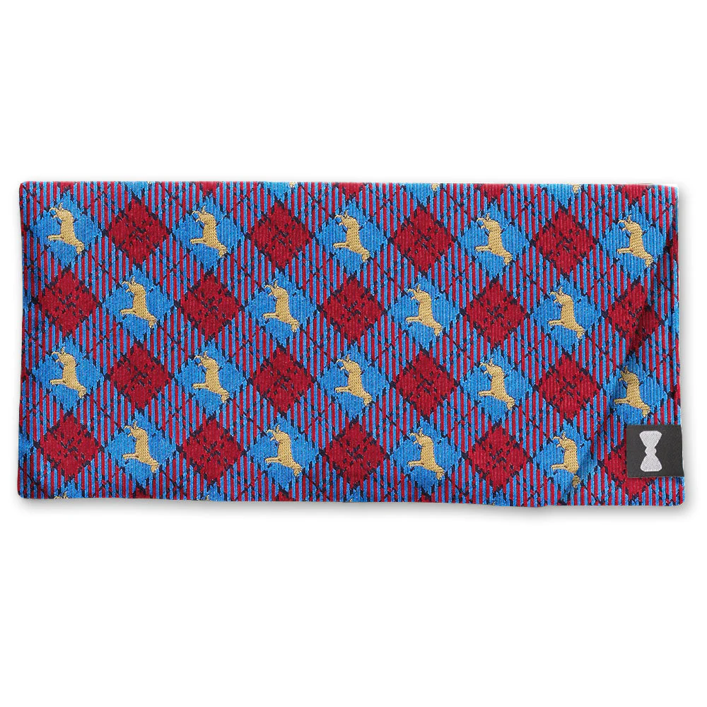 Tweedmouth - Eyeglass Cases