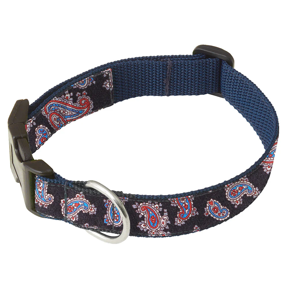 Velletri - Dog Collar